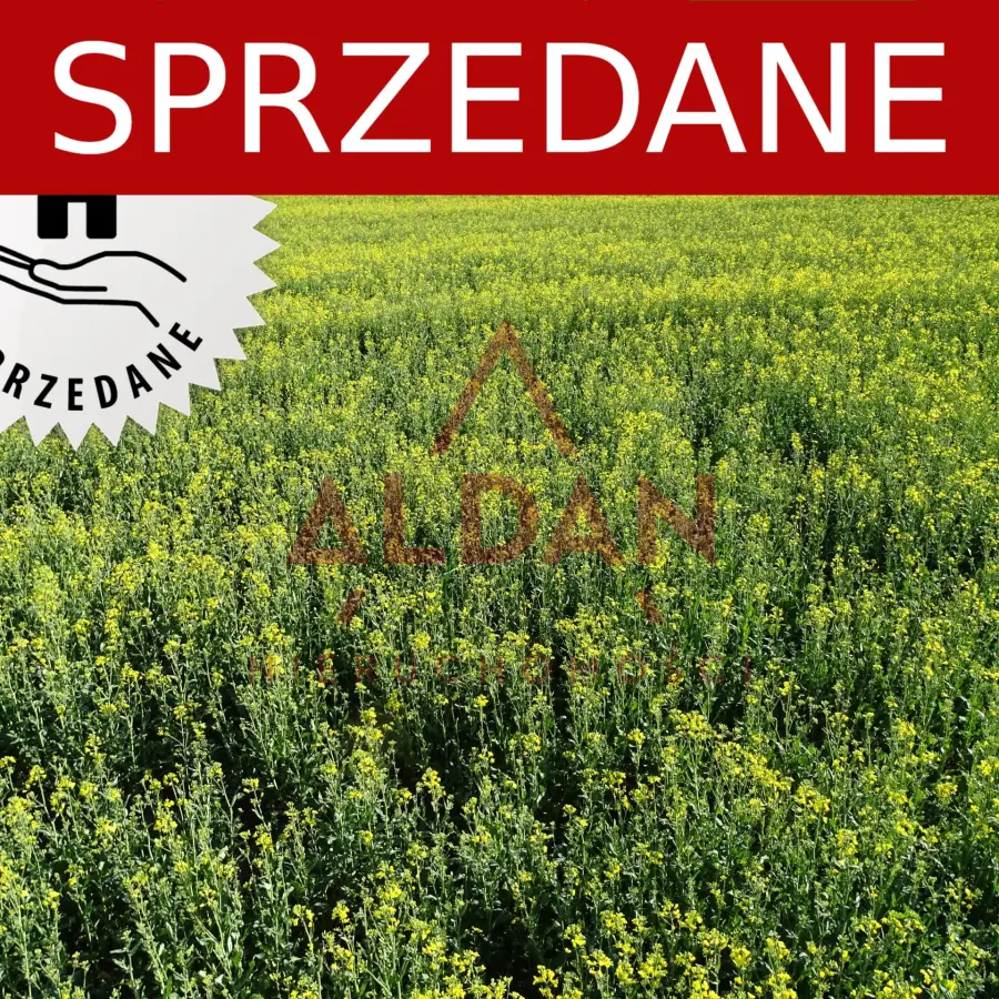 lubuskie, Zielona Góra, Ochla, Działka o pow. 964 m2 w Ochli dz. Zielonej Góry