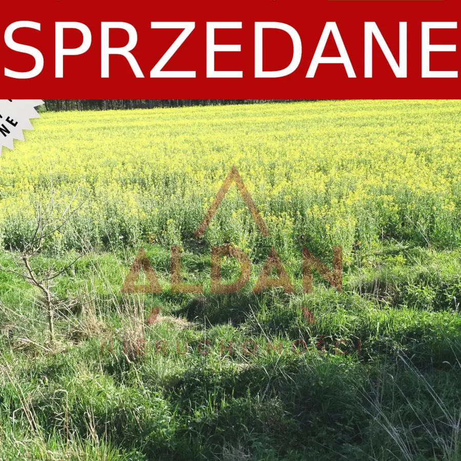 lubuskie, Zielona Góra, Ochla, Działka budowlana w Zielonej Górze - Ochla
